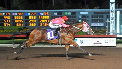 The average sale price for the 204 yearlings sold was $21,474 to go along with 17 mares selling for an average of $22,994. Best Of Orange County: Week Of September 1 - CBS Los Angeles
