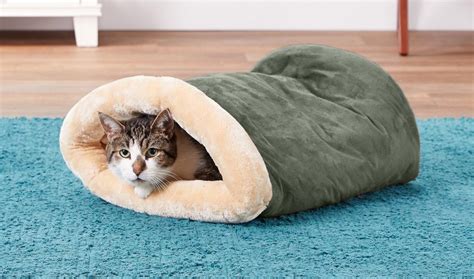 The Best Cave Cat Beds For Your Kitty To Curl Up In