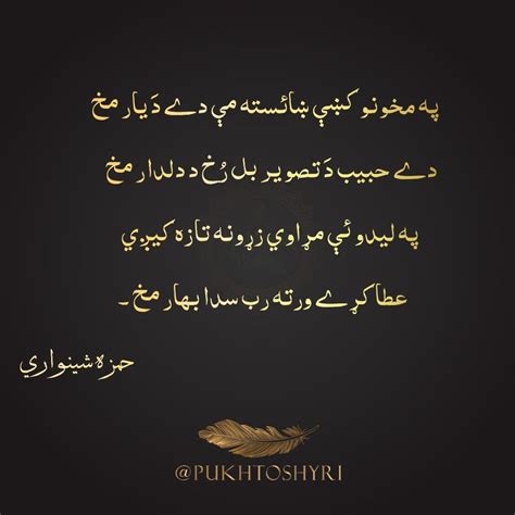 Hamza Shinwari Poetry Love Poem For Her Pashto Quotes Poetry Lines