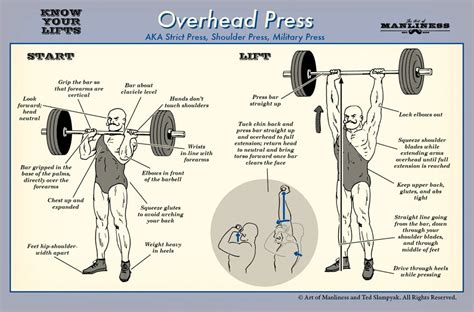 How To Do An Overhead Press Weightlifting Guide The Art Of Manliness