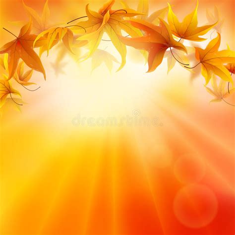 Falling Maple Leaves Stock Photo Image Of Nature Fall 11038192