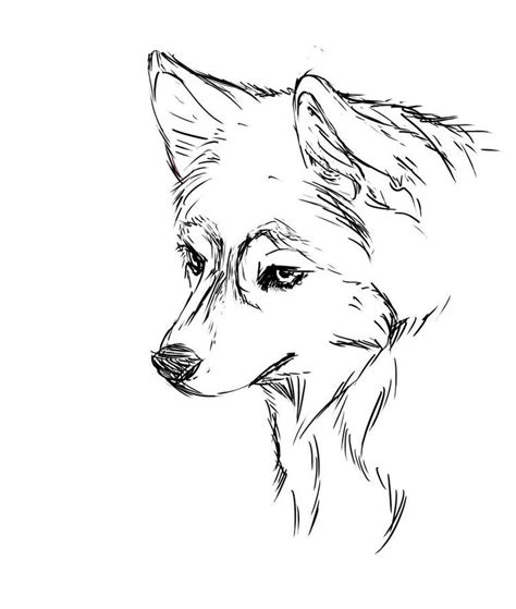 Explore 623989 free printable coloring pages for your kids and adults. Face Realistic Husky Coloring Pages | Puppy coloring pages, Husky drawing, Dog coloring page
