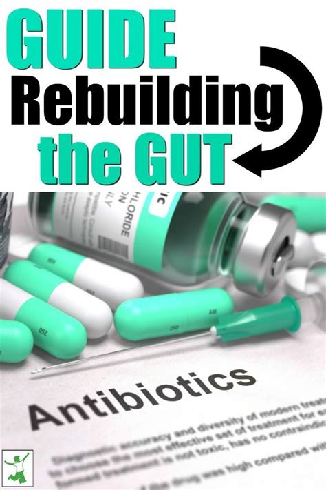 How To Repair Your Gut After Antibiotics Healthy Home Economist