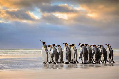 Penguin Wallpapers Linux Water
