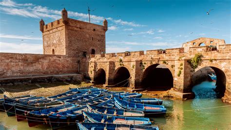 Quoi Faire Lors De Votre Voyage à Essaouira Tourlane