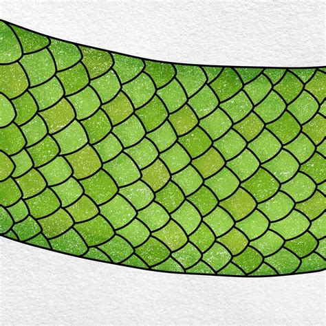 How To Draw Snake Scales Helloartsy