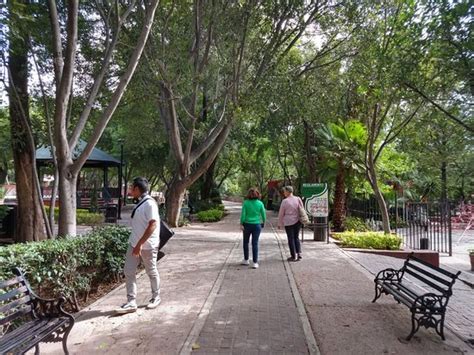 Parque Juárez San Miguel De Allende 2019 Lo Que Se Debe Saber Antes