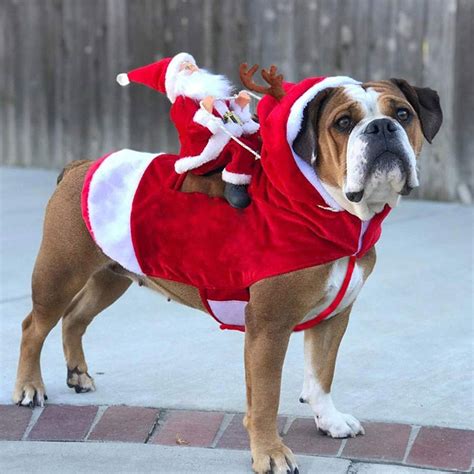 Santa Claus Dog Rider Costume Christmas Dog Costume Dog Christmas