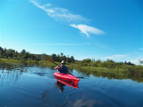 Quiet Kayaking In New York State West Canada And Lily Lakes Part 1