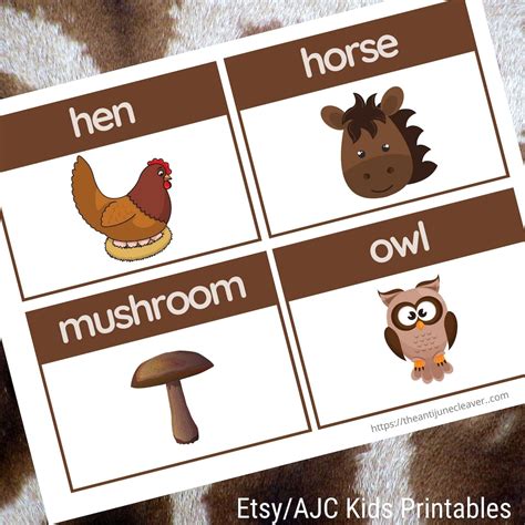 What Things Are Brown Set Of 16 Brown Words Flashcards Etsy España