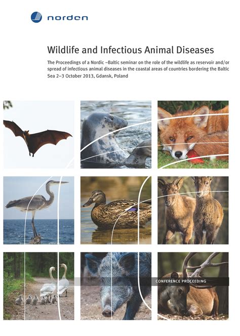 Wildlife And Infectious Animal Diseases