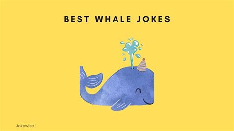 100 Funny Whale Jokes That Will Crack You Up Jokewise