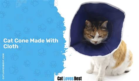 6 Diy Cat Cones Everyone Could Make