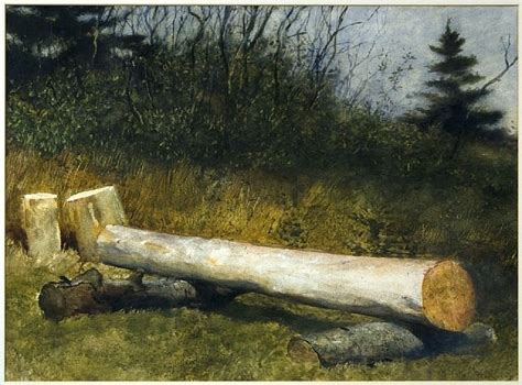 Jamie Wyeth Moring Log Watercolor On Paper Contemporary Realism