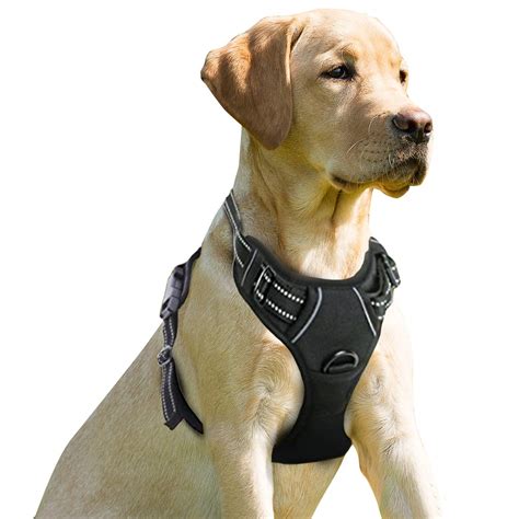 Barkbay No Pull Dog Harness Front Clip Heavy Duty Reflective Easy