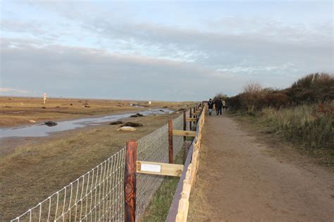 Seal Watching At Donna Nook National Nature Reserve