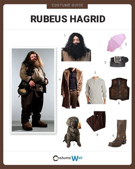 Dress Like Rubeus Hagrid Costume Halloween And Cosplay Guides