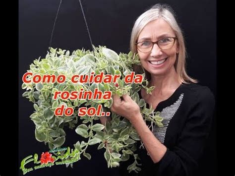 Como plantar mudas de suculenta rosinha do sol! Como cuidar da rosinha-de-sol.#paisagismo #jardinagem # ...