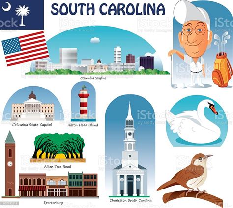 South Carolina Symbols Stock Illustration Download Image Now Istock