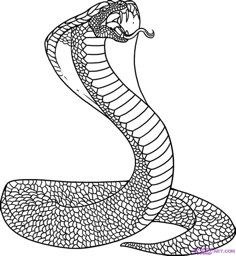 Snake Coloring Pages Dragon Coloring Page Dinosaur Coloring Pages Hot