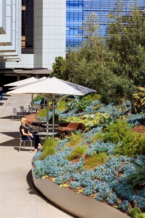 Healing Gardens For Cedars Sinai Medical Center By Ahbe Landscape