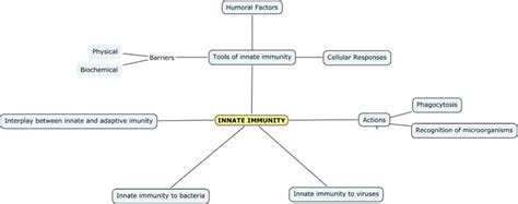 Immune System Concept Map