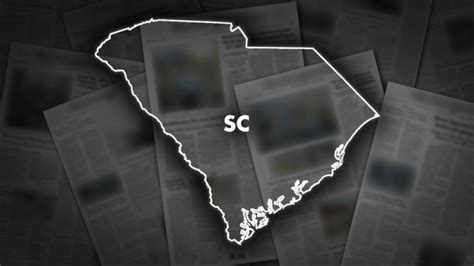 Fox News South Carolina Senate Gets 6th Female Member After Special
