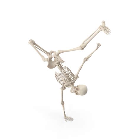 Skeleton Break Dance Png Images And Psds For Download Pixelsquid S106046943