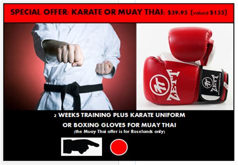 Website Offer Karate Bkj Martial Arts