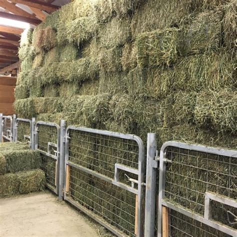 11 Brilliant Horse Hay Ideas Clever Tips