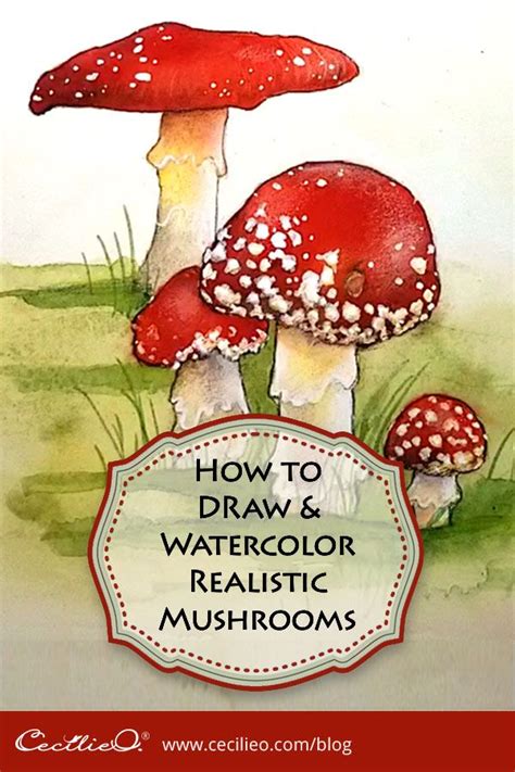 How to draw a rabbit step by step? How To Draw A Realistic Mushroom | Stuffed mushrooms ...
