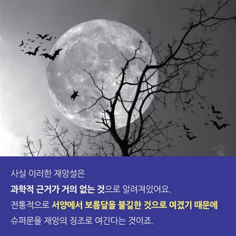 2 분 전 유머 김헌곤 조회25 추천1. 김짤닷컴 - 슈퍼문, 재앙설의 진실