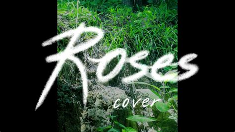 Roses Shawn Mendes Cover By Apisara Youtube