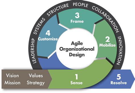 Organizational Design Certification Receive Your Organizational