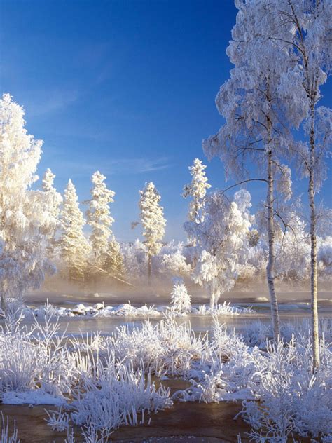 Free Download Hd Bing Winter Landscape Wallpaper
