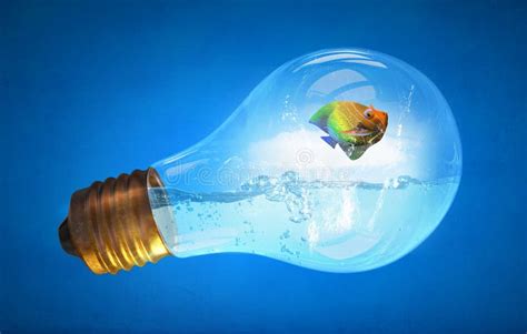 Fish In Bulb Stock Image Image Of Light Power Inspiration 60443577