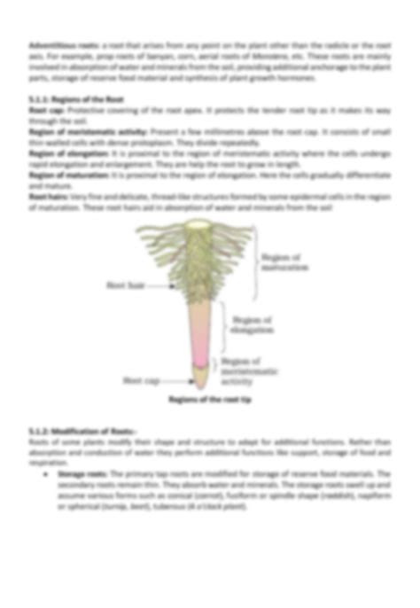 Solution Chapter 5 Morphology Of Flowering Plant Biology Easy Notes