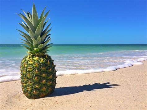 Pineapple Computer Wallpaper Backgrounds Pineapple Backgrounds