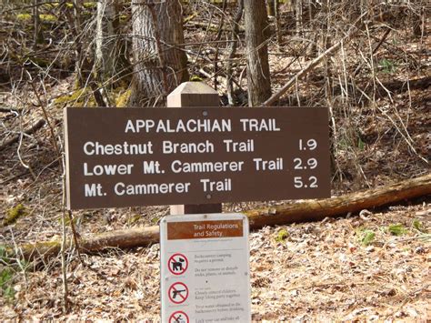 Maybe you would like to learn more about one of these? Chestnut Branch Trail - Smokies Guide