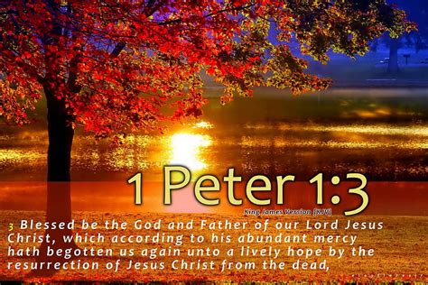 1 Peter 13 Christian Bible Verse Bible Verse Kjv Jesus Bible