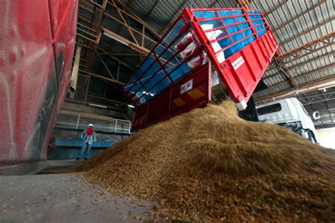 The government has imposed the mco 3.0 malaysia. MCO 3.0: Paddy, rice industry to operate 24 hours at full ...