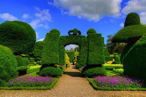 Image England Levens Hall Topiary Garden Kendal Nature Gardens