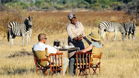 Kenya Safari Packages Access Safari From Mombasa And Get A Chance To