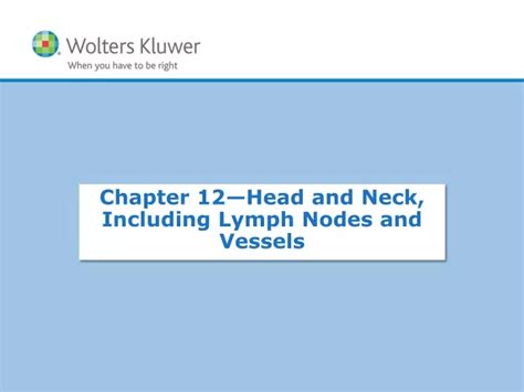Ppt Chapter 12— Head And Neck Including Lymph Nodes And Vessels