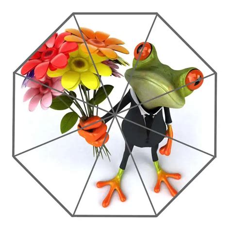 Nice 3d Funny Frog Cartoon Custom Sunny And Rainy Umbrella Design