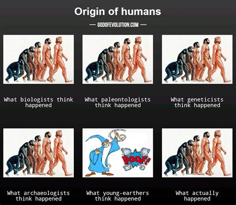 Different Views On Human Origins