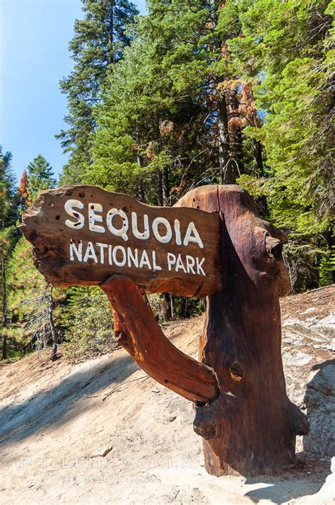 Sequoia Kings Canyon National Park Photos Stock Photography Of Sequoia