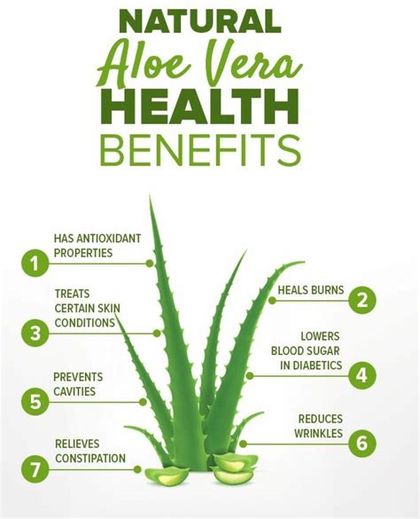 Ultimate Health Benefits Of Using Aloe Vera Longevity