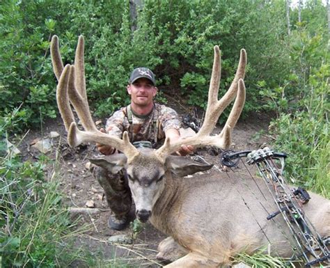 Photos 7 Of The Highest Scoring Utah Mule Deer Killed By