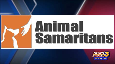 Animal Samaritans Receives 750k Donation For New Pet Adoption And Humane